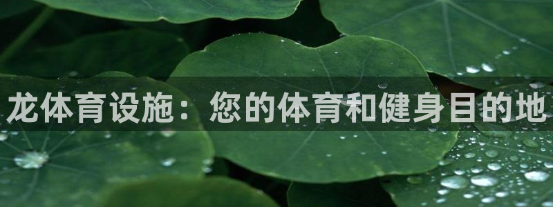 意昂3集团官网首页网址：龙体育设施：您的体育和健身目