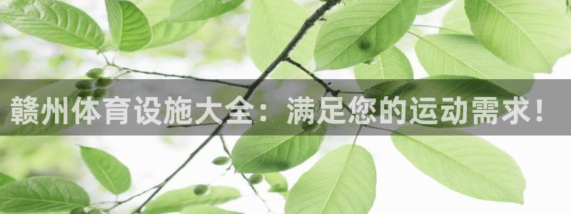 意昂体育3招商电话号码：赣州体育设施大全：满足您的运