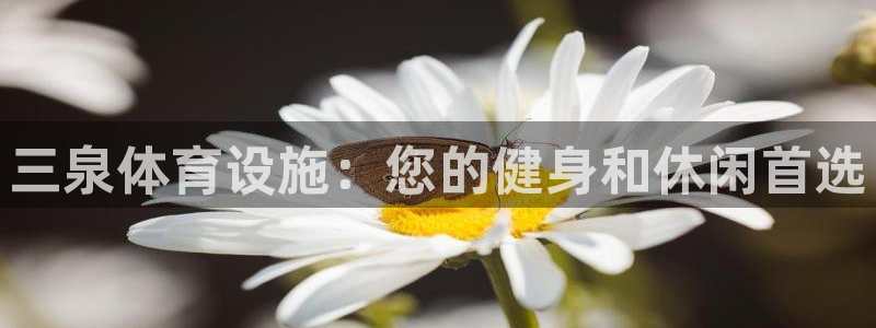 意昂体育3招商：三泉体育设施：您的健身和休闲首选