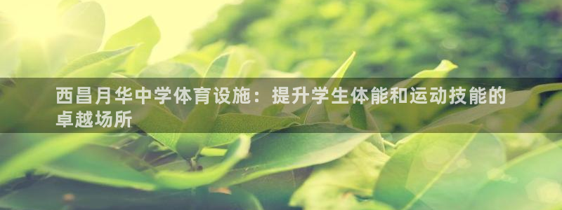 意昂3集团官网网址